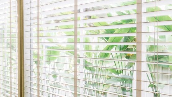 Beautiful blinds in a living room