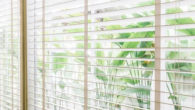 Beautiful blinds in a living room